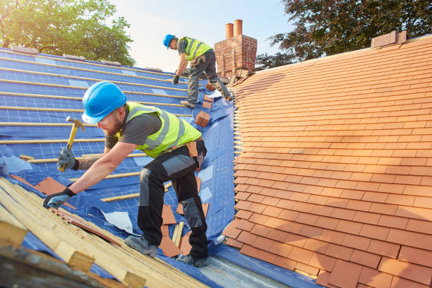 Best Roof Maintenance and Cleaning  in Edinboro, PA